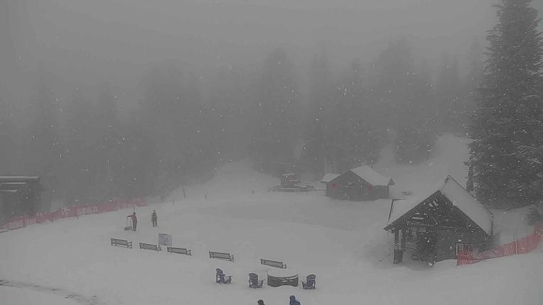 Webcam Grouse Mountain: Chalet Cam