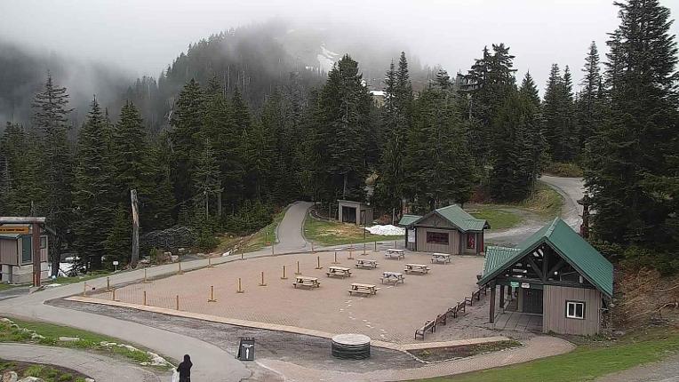 Webcam Grouse Mountain: Chalet Cam