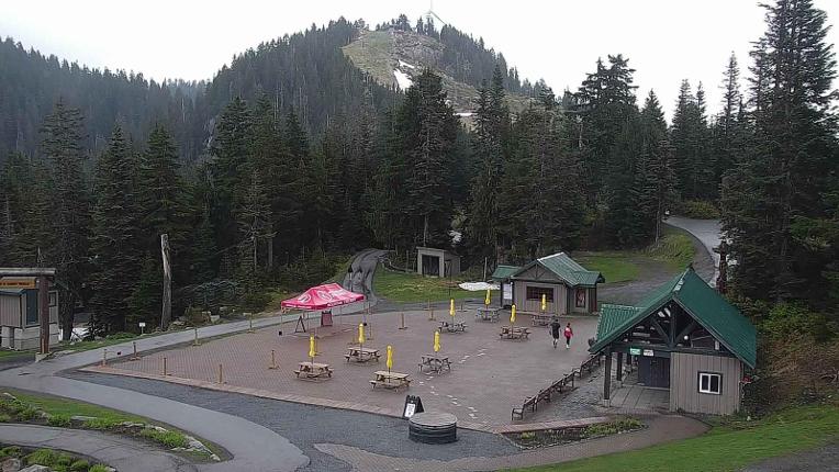 Webcam Grouse Mountain: Chalet Cam