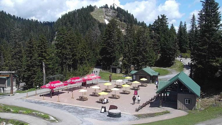 Webcam Grouse Mountain: Chalet Cam