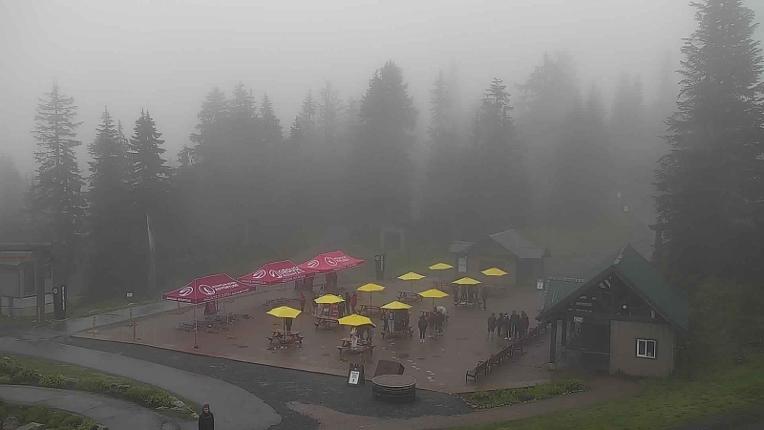 Webcam Grouse Mountain: Chalet Cam
