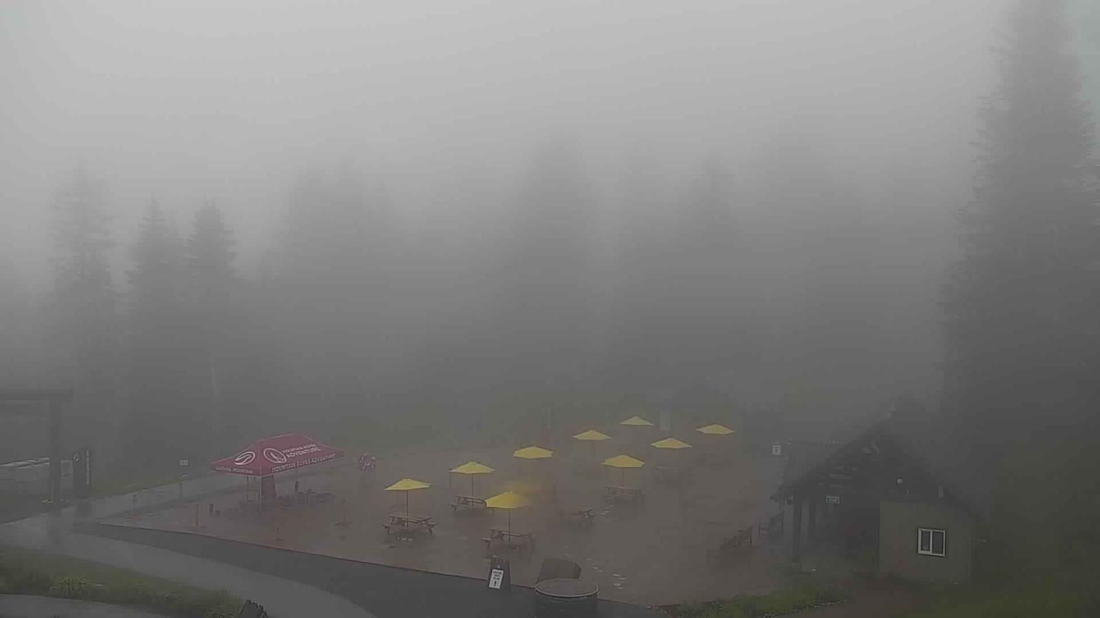 Webcam Grouse Mountain: Chalet Cam