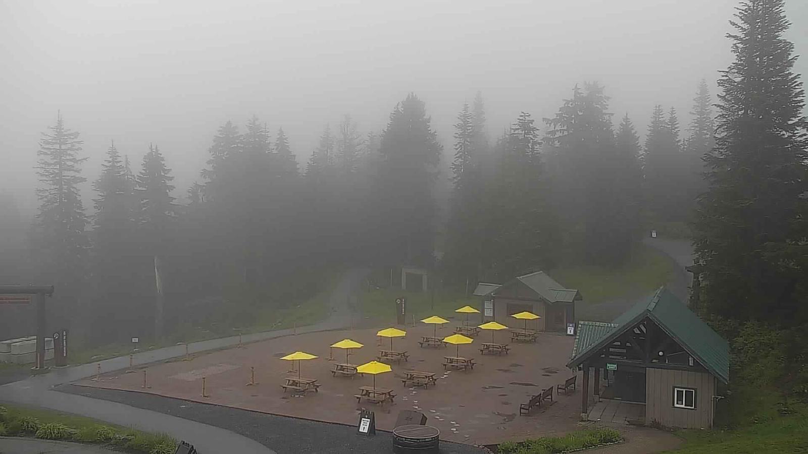Webcam Grouse Mountain: Chalet Cam