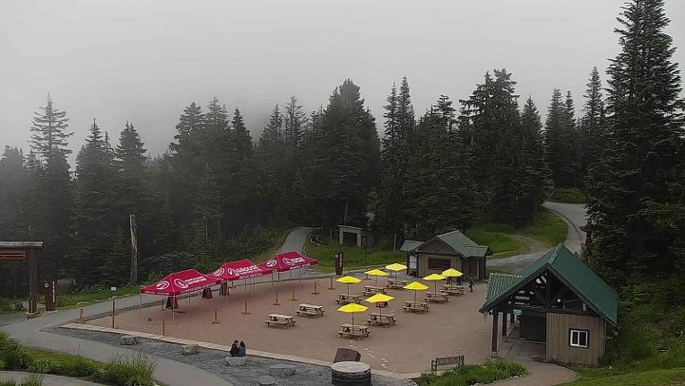 Webcam Grouse Mountain: Chalet Cam