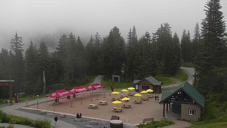 Webcam Grouse Mountain: Chalet Cam