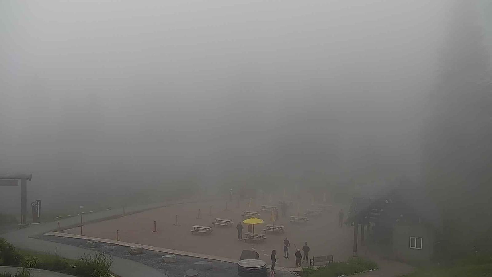 Webcam Grouse Mountain: Chalet Cam