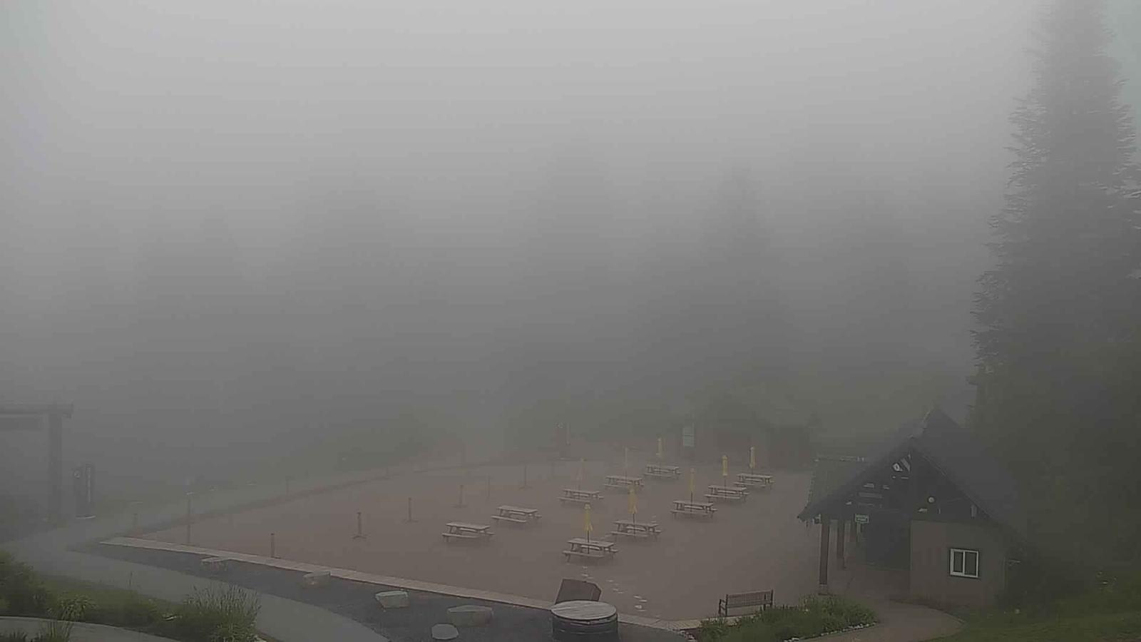 Webcam Grouse Mountain: Chalet Cam