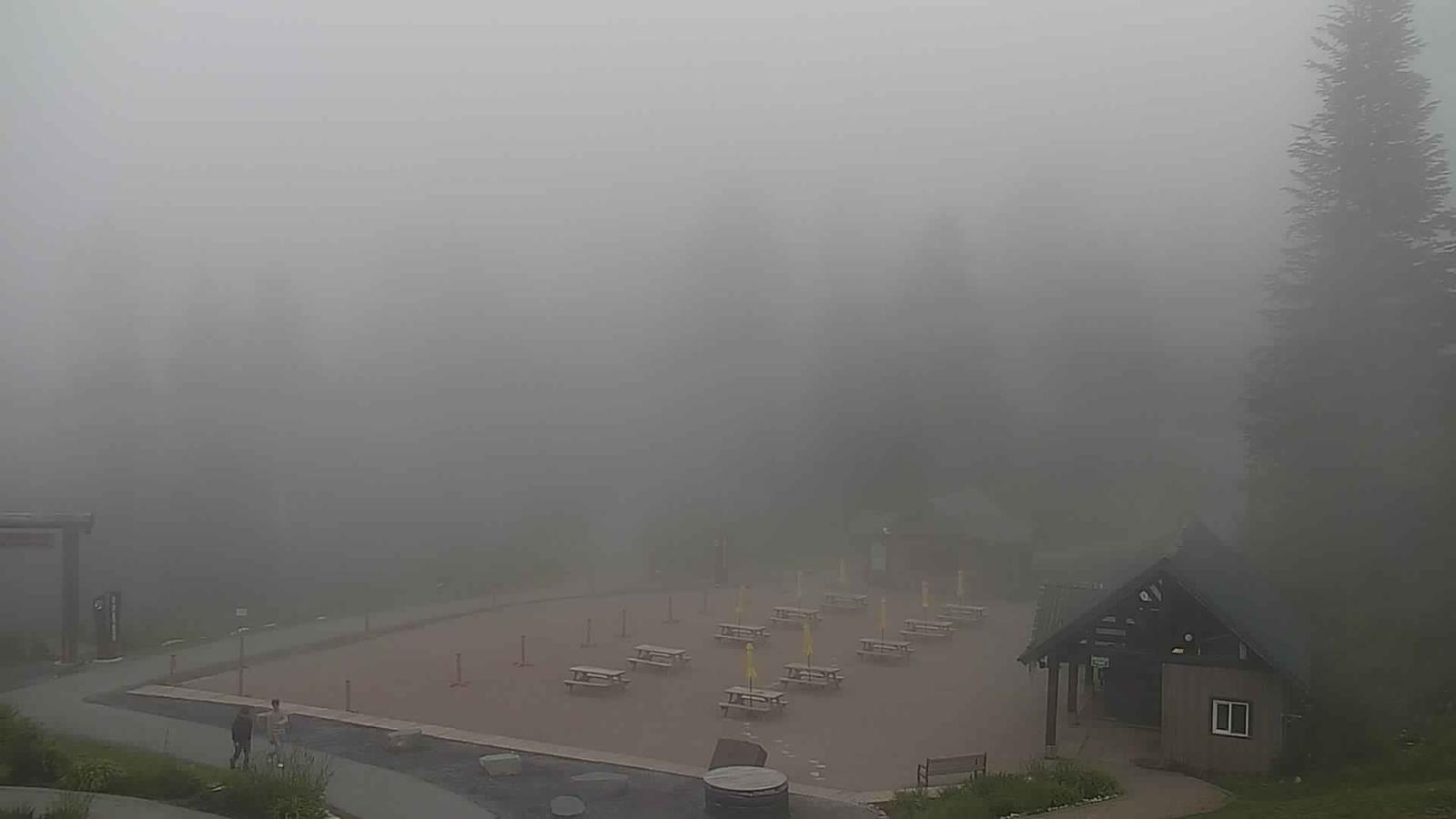 Webcam Grouse Mountain: Chalet Cam