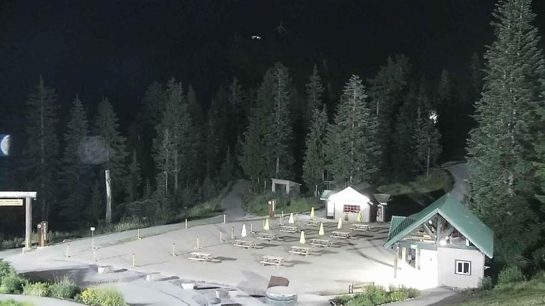 Webcam Grouse Mountain: Chalet Cam