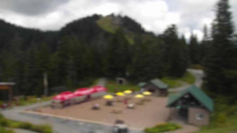Webcam Grouse Mountain: Chalet Cam
