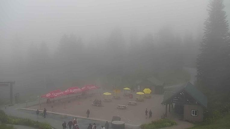 Webcam Grouse Mountain: Chalet Cam