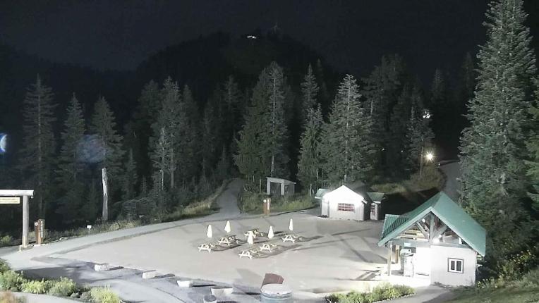 Webcam Grouse Mountain: Chalet Cam