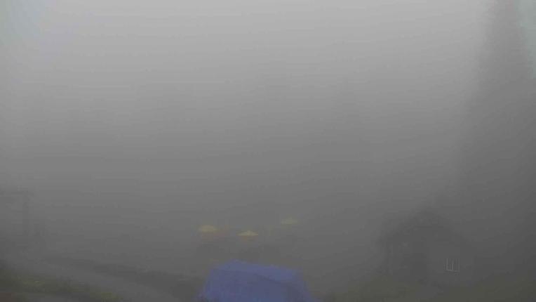 Webcam Grouse Mountain: Chalet Cam