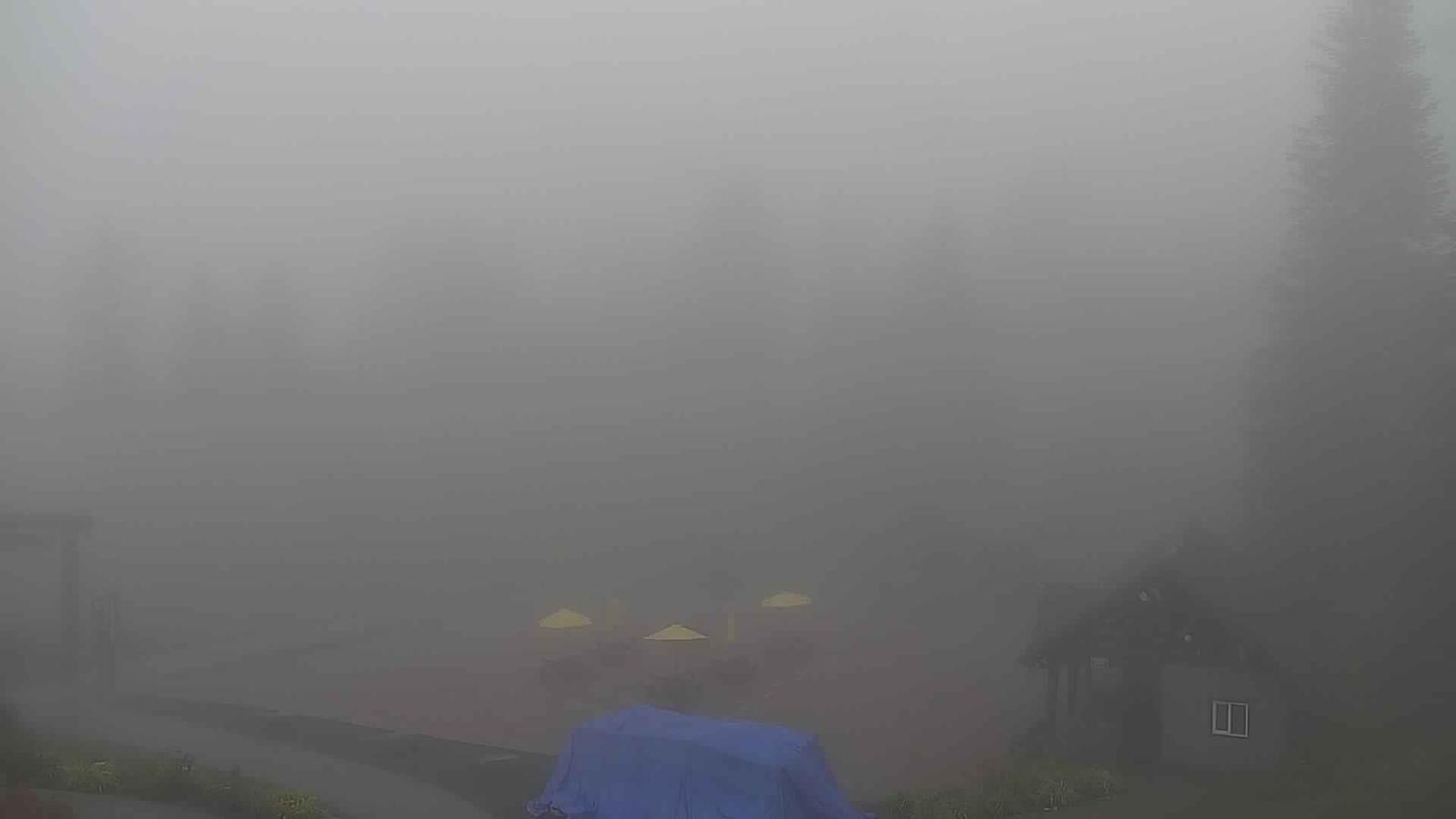 Webcam Grouse Mountain: Chalet Cam