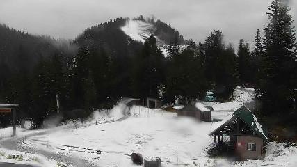 Grouse Mountain: Chalet Cam (grousemountain.com)