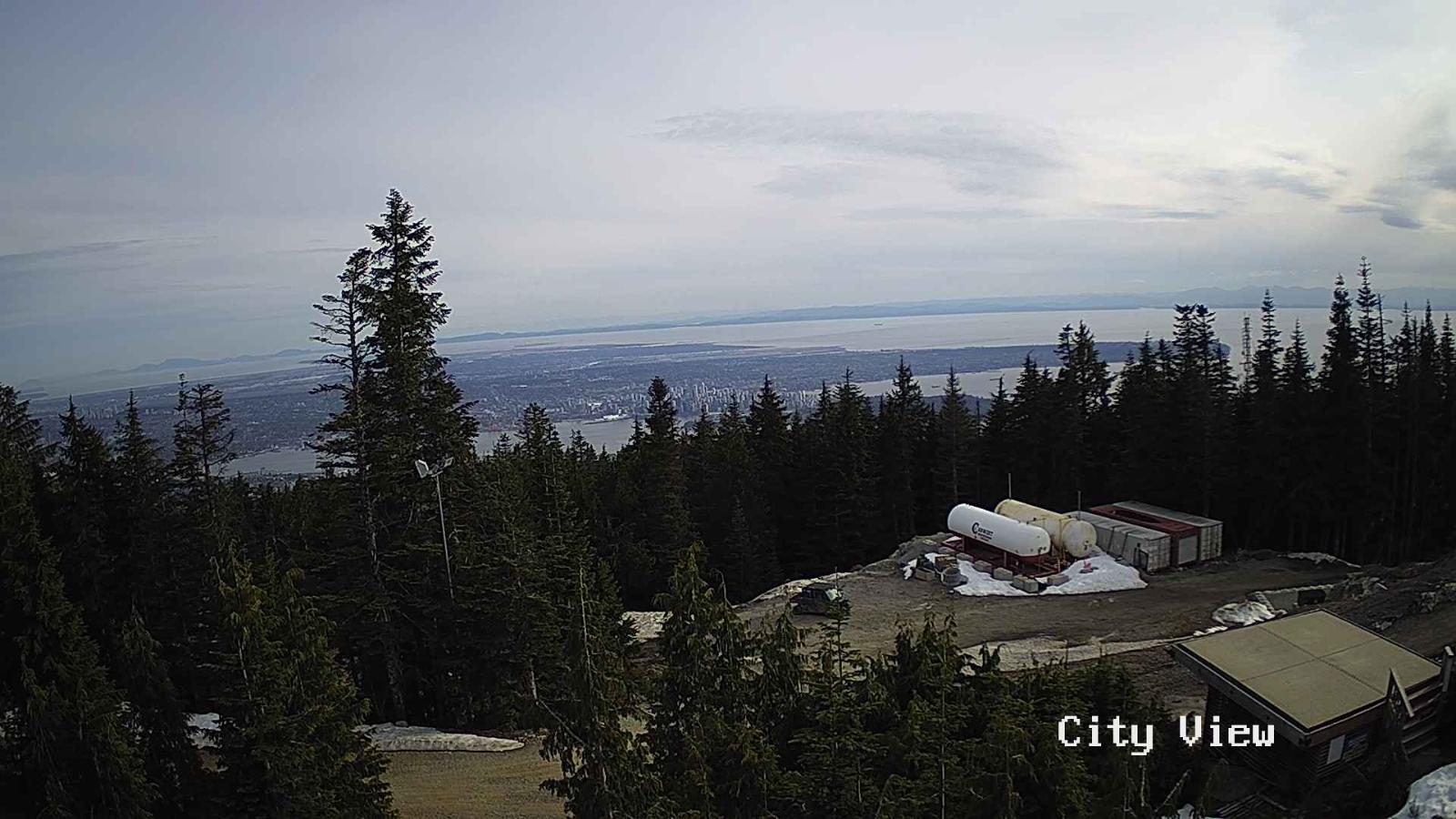Webcam Grouse Mountain: City View Cam
