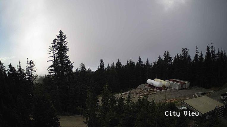 Webcam Grouse Mountain: City View Cam