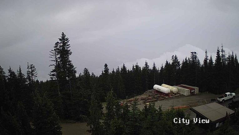 Webcam Grouse Mountain: City View Cam