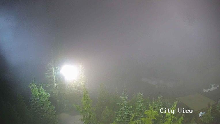 Webcam Grouse Mountain: City View Cam