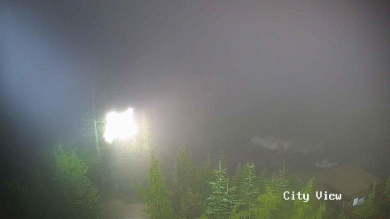 Webcam Grouse Mountain: City View Cam