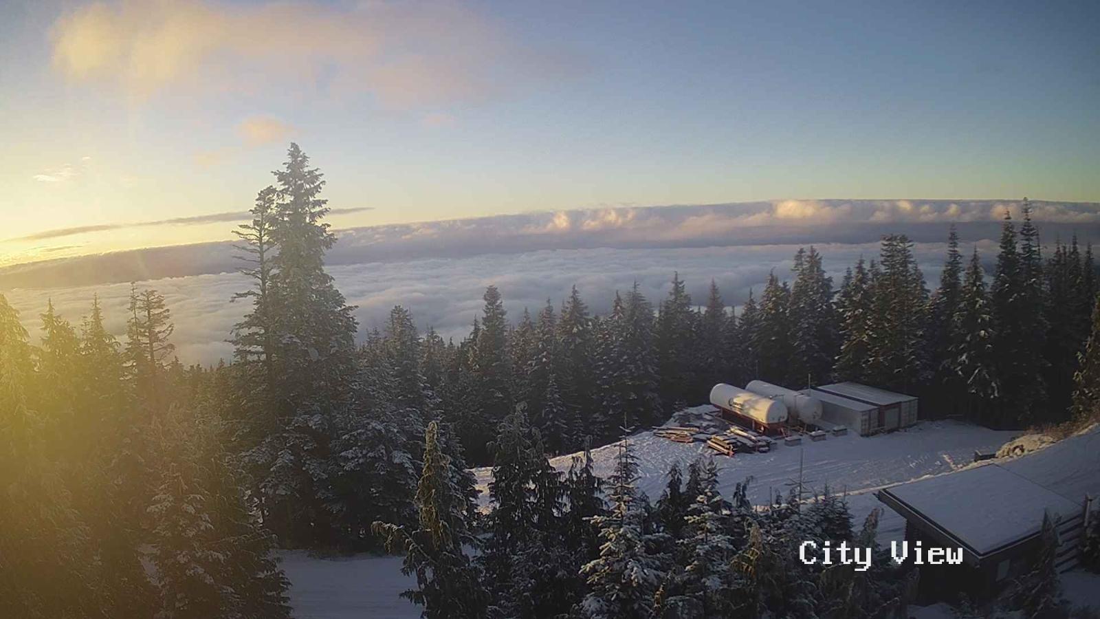 Webcam Grouse Mountain: City View Cam