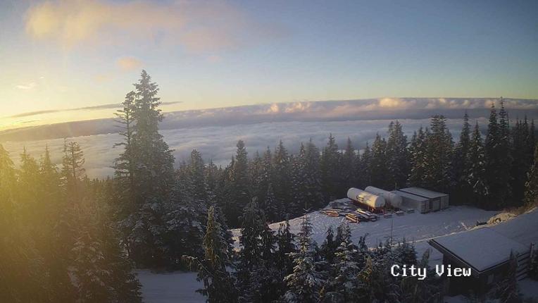 Webcam Grouse Mountain: City View Cam