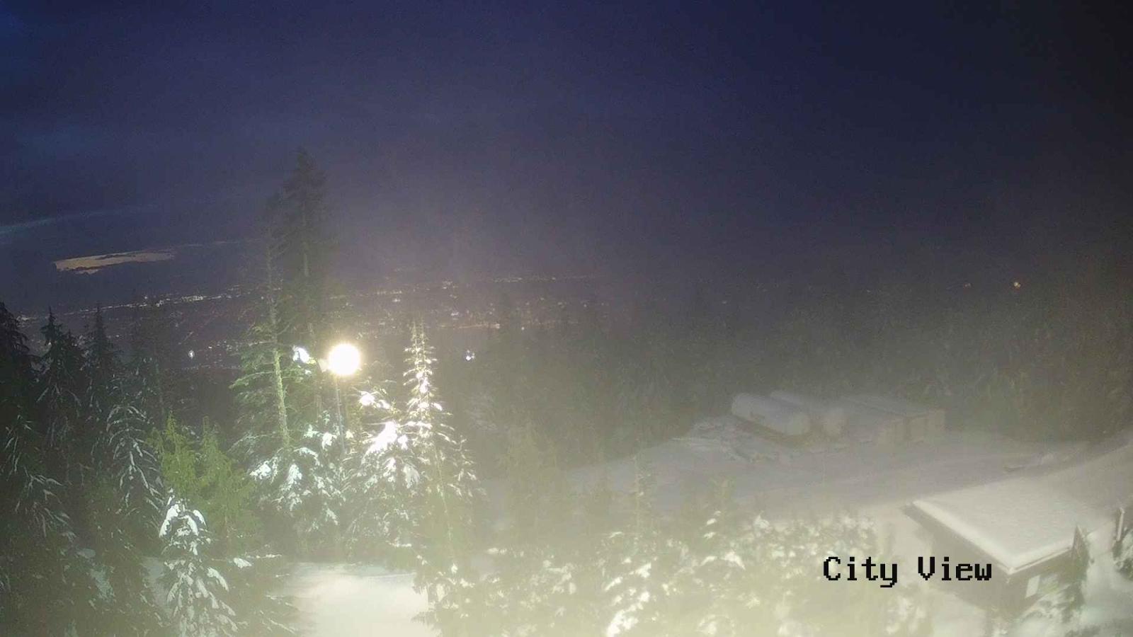 Webcam Grouse Mountain: City View Cam