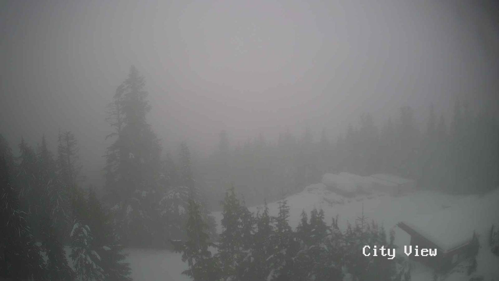 Webcam Grouse Mountain: City View Cam