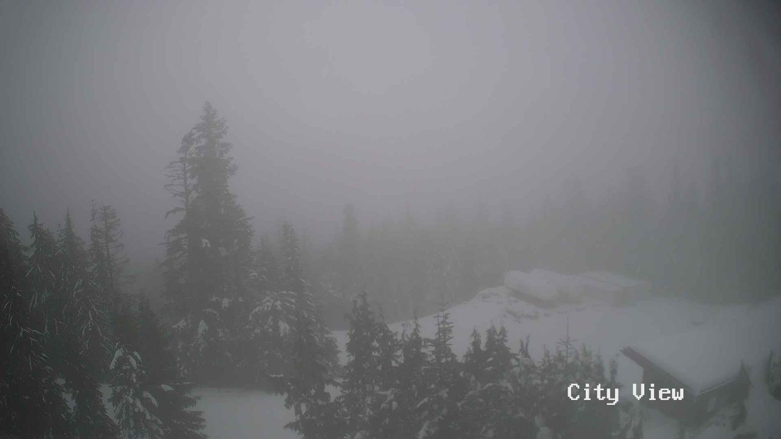 Webcam Grouse Mountain: City View Cam