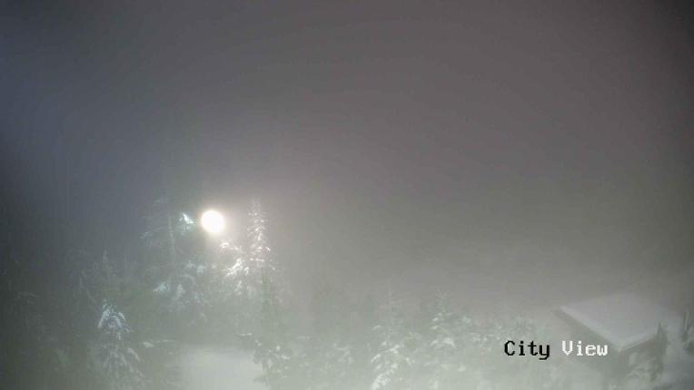 Webcam Grouse Mountain: City View Cam