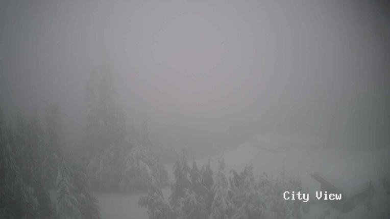 Webcam Grouse Mountain: City View Cam