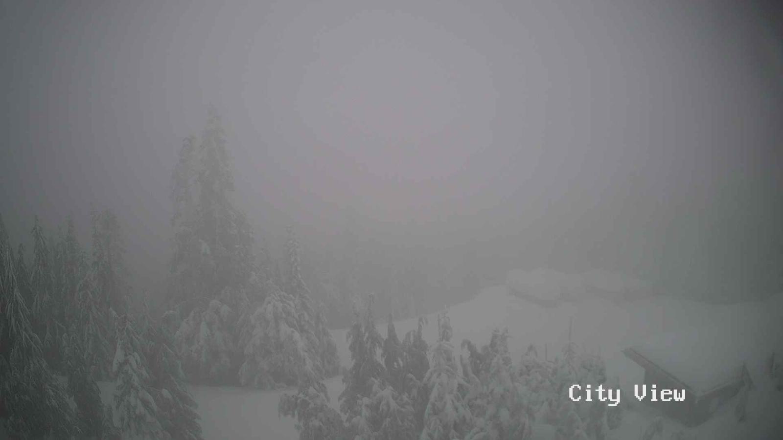 Webcam Grouse Mountain: City View Cam
