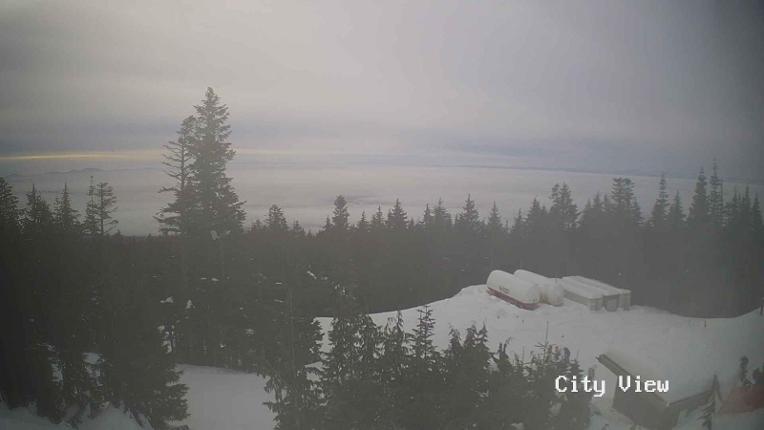 Webcam Grouse Mountain: City View Cam