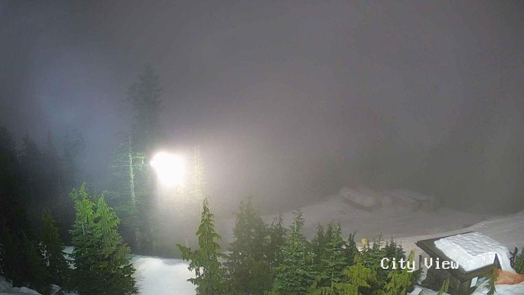 Webcam Grouse Mountain: City View Cam