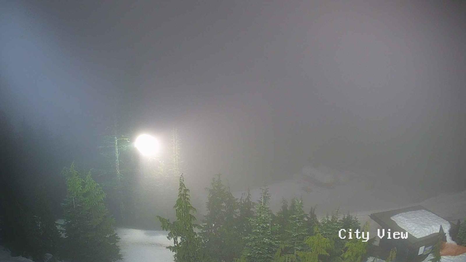 Webcam Grouse Mountain: City View Cam