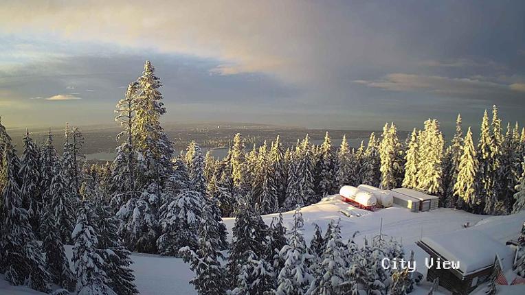 Webcam Grouse Mountain: City View Cam