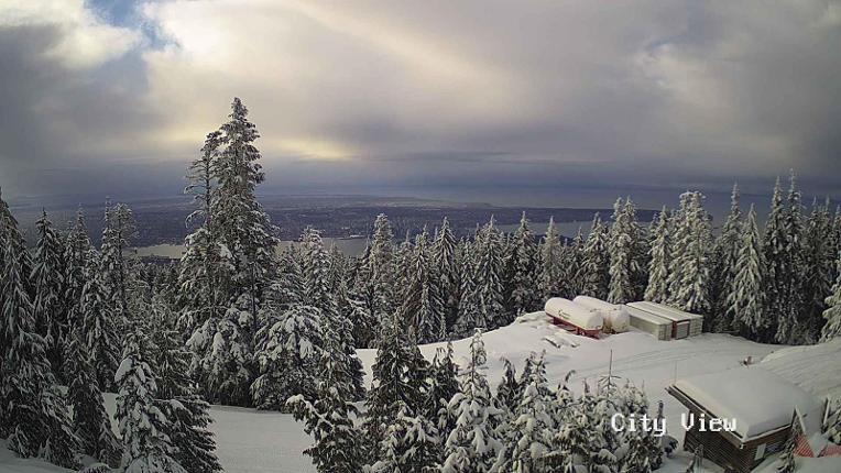 Webcam Grouse Mountain: City View Cam