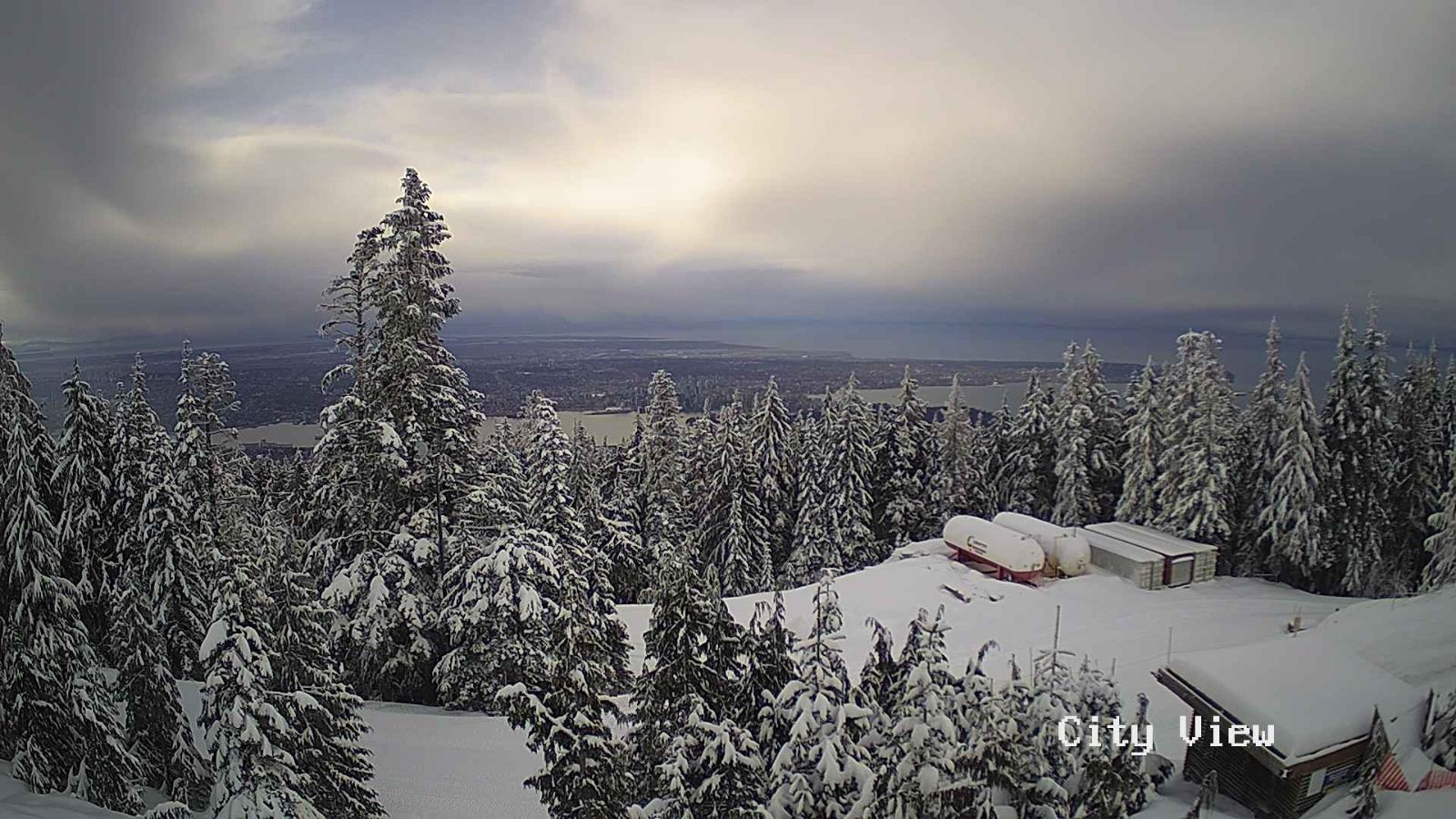 Webcam Grouse Mountain: City View Cam
