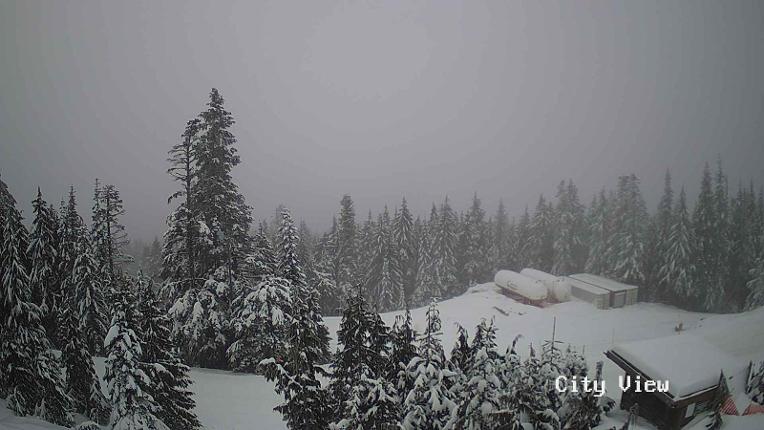 Webcam Grouse Mountain: City View Cam