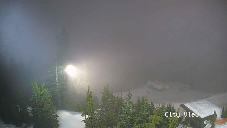 Webcam Grouse Mountain: City View Cam