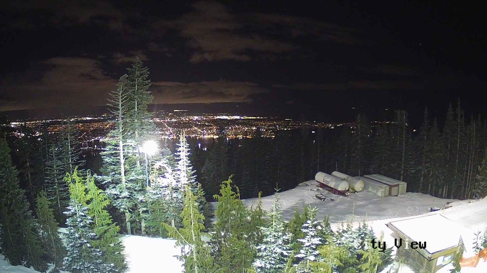 Webcam Grouse Mountain: City View Cam