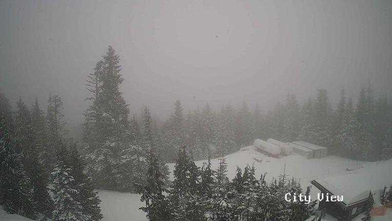 Webcam Grouse Mountain: City View Cam