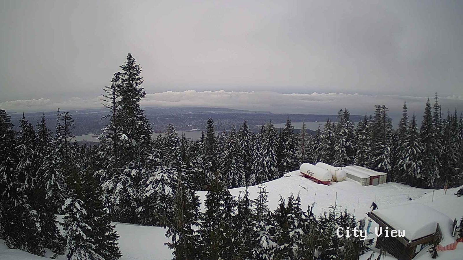 Webcam Grouse Mountain: City View Cam