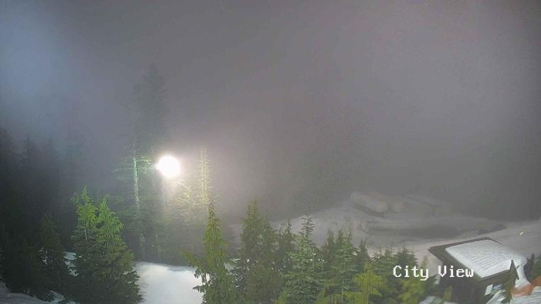 Webcam Grouse Mountain: City View Cam