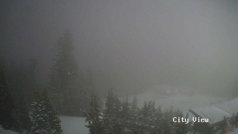 Webcam Grouse Mountain: City View Cam