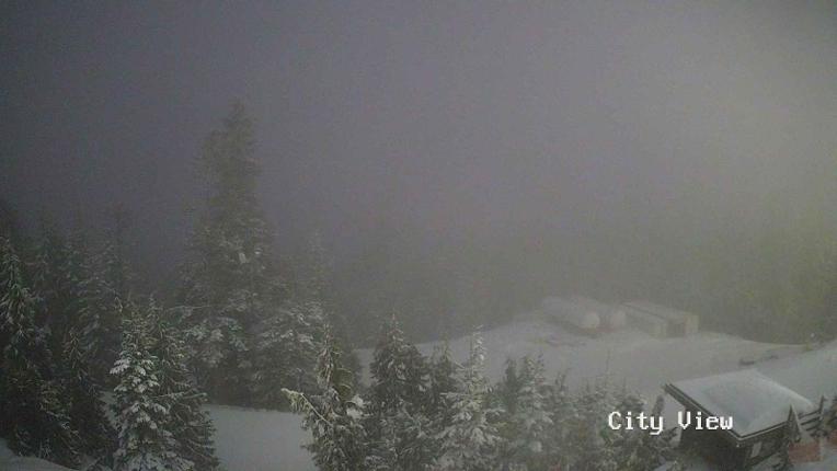 Webcam Grouse Mountain: City View Cam