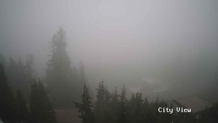 Webcam Grouse Mountain: City View Cam