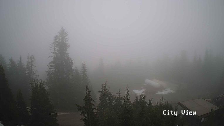 Webcam Grouse Mountain: City View Cam