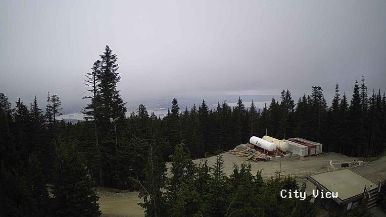 Webcam Grouse Mountain: City View Cam