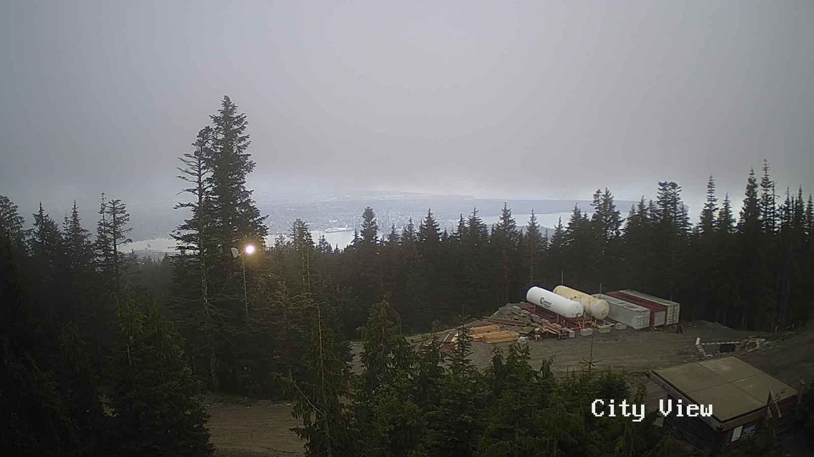 Webcam Grouse Mountain: City View Cam